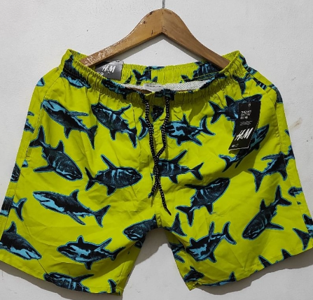 H and M BOARD SHORT