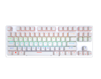 CPS CT87 Blue Switch Mechanical Gaming Keyboard 87 Keys Gamer Keyboards Colorful LED