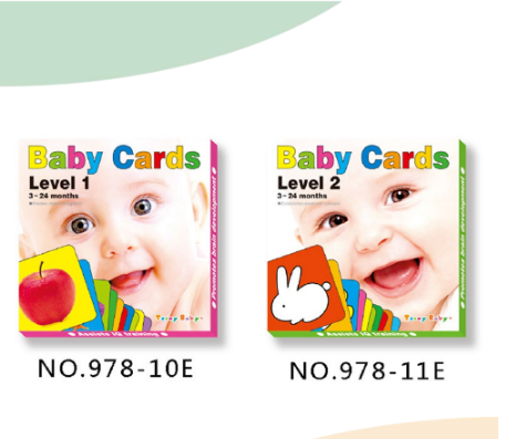 BABY Infant Educational Multicolor Flash Cards