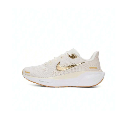 Nike 2024 Women's AIR ZOOM PEGASUS 41 Running Shoes FD2723-005