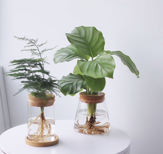 Plant Pot Indoor Self Watering Flower Pot Transparent Hydroponic Flower Plastic Pot Home Decoration