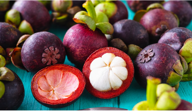 Mangosteen Seeds Tropical Sour Sweet Fruit Seeds Garden Plants Tree Bonsai