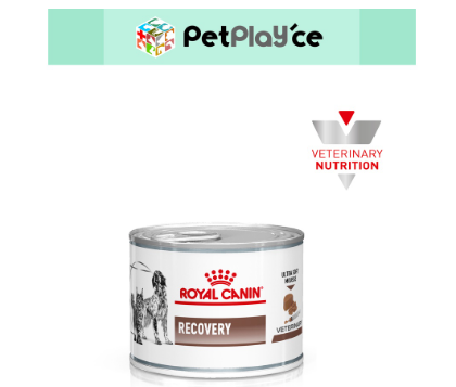 Royal Canin RECOVERY DIET for Dog & Cat WET in CAN 195g VET Range