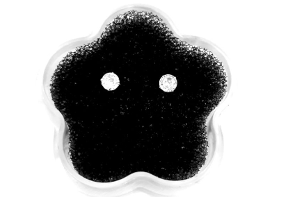 Unisilver 925 Sterling Silver Lady's Earrings stud
