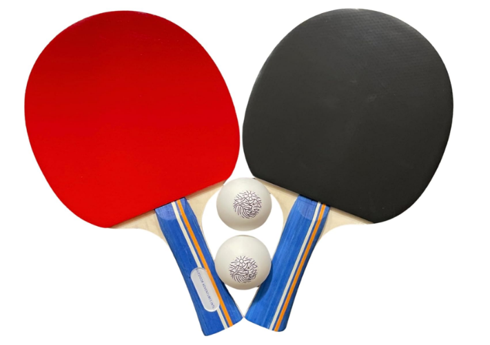 Ping Pong Paddles Set - Professional Table Tennis Paddles - Set of 2 Paddles, 2 Balls, and 1 Carrying Case - Ping Pong Paddles & Accessories - Indoor or Outdoor.