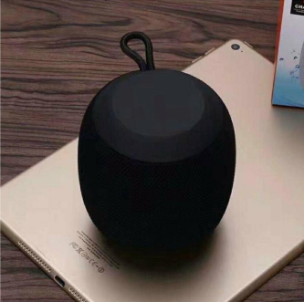 JBL G4 Portable Bluetooth Speaker