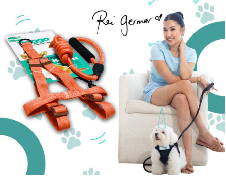Doggo Strong Harness (Large Size)