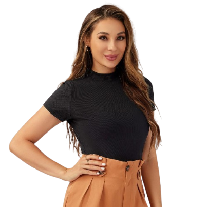 Lovito Casual Plain Rib-Knit Stand Collar Short Sleeve T-Shirts For Women L21LT011