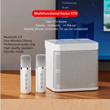 Inplay 3D Stereo Amplifier Wireless Bluetooth Speaker With Dual Wireless Microphone Karaoke Speaker