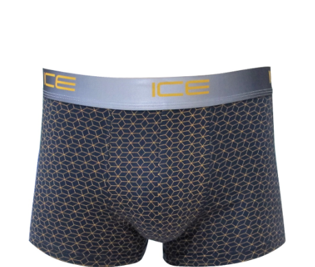 Hanford iCE Men Viscose w/ Spandex Boxer Briefs