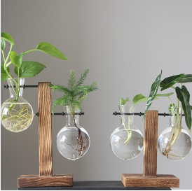 Terrarium Table Desk Planter Indoor Flower Vase With Wooden Stand Hydroponic Plant Vases Bulb Glass