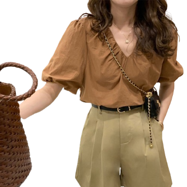 Lovito Casual Plain Pleated Blouse for Women LNE16228 (Coffee)