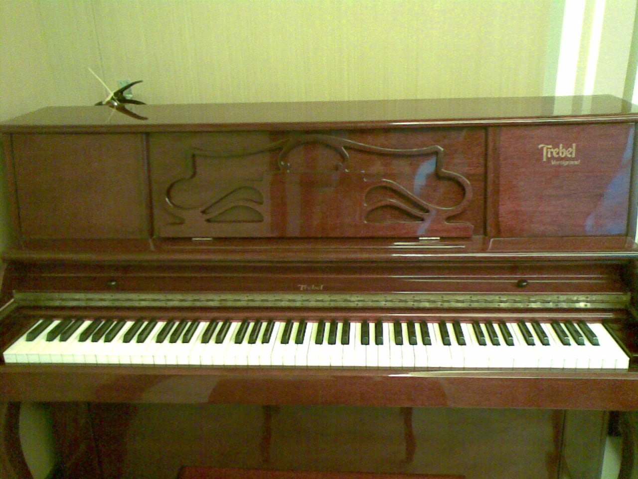 Mike Piano Service