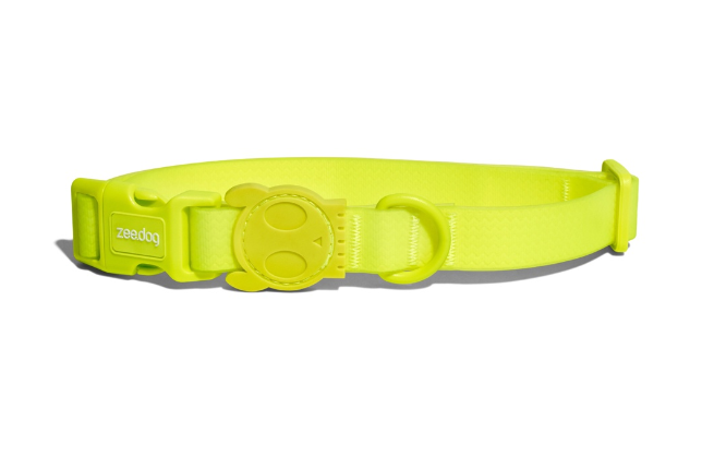 Zeedog Neopro Dog Collar [Lime]
