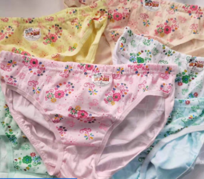 Soen Floral Women's Panty Underwear (12 pcs)
