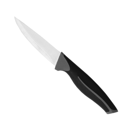 Classics Professional Stainless Steel Paring Knife, 3.5in