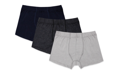 Biofresh Men's Antimicrobial Cotton Boxer Brief 3 pieces in a pack