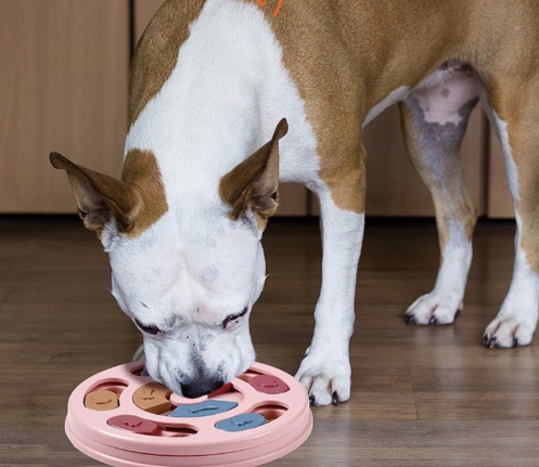 Dog Puzzle Toys for Beginner,Dog Puzzles Improve Your Dog IQ Puppy Treat Dispenser Training Treats