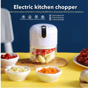 Portable Electric Garlic Masher Mini Food Garlic Vegetable Grinder Chopper Mincer Crusher 100/250ML