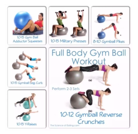 Gym Ball Exercise Ball Yoga Ball 65cm Free Pump Random Color