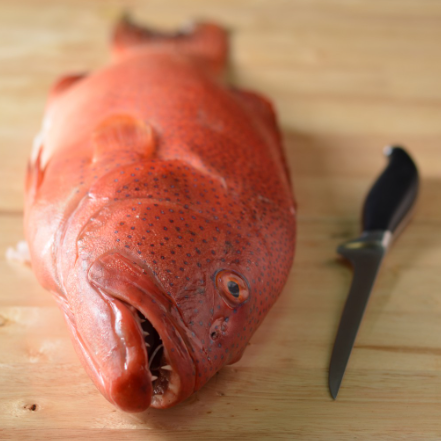 Kitchenpro 6" Fillet Knife (Flair)