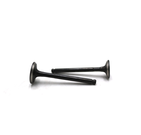 SK Intake Exhaust Engine Valve For Kawasaki Bajaj CT100