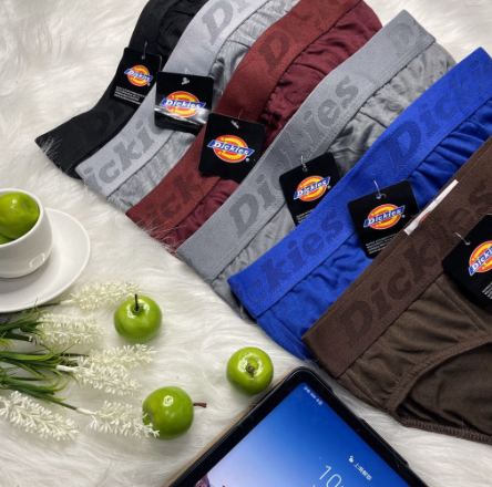 Men's Cotton High Quality Dickies/WK Fashion Briefs Underwear 1pcs
