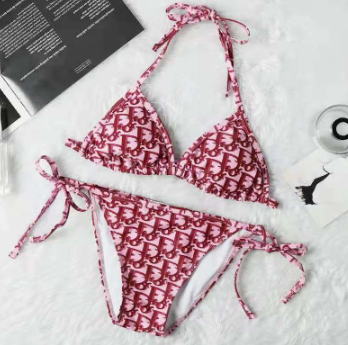 DIOR Swimsuit Women Bikini Fashion Letter Printed Swimsuit