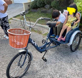 Cargo Passenger Bike for Adults and Kids Code 901