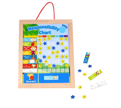 Tooky Toy Responsibility Chart