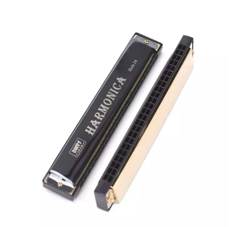 Harmonica 24 Holes Key Of C Play Harmonica Tremolo Mouth Organ Double Row Blues Music Instrument