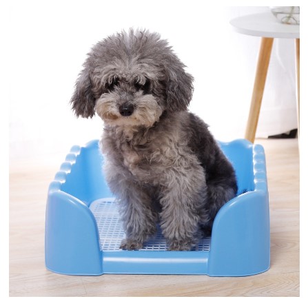 Pet Toilet  Dog Training Potty Pad with Stand Included
