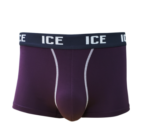 Hanford iCE Men Viscose w/ Spandex Boxer Briefs