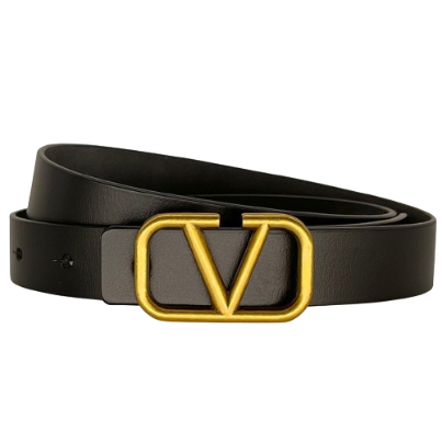 Lovito Women Modest Plain Metal V Letter Sense Of Luxury Versatile Belt LFA11542