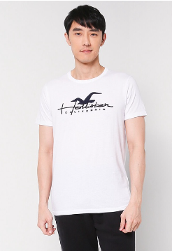 Hollister Large Scale Tech Logo T-Shirt