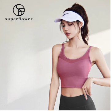 Women Seamless Shockproof Sports Bras Breathable Quick Dry Gym Fitness Running Yoga Vest