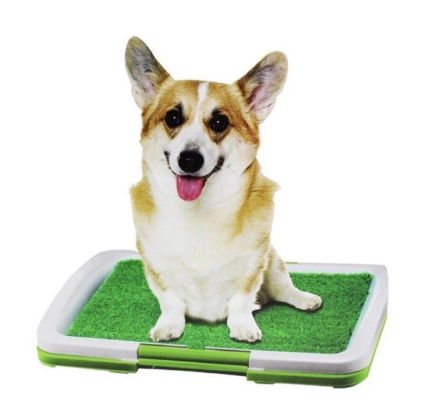 Puppy Potty Pad Perfect Pets Indoor Dog Toilet Training