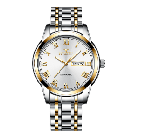 FNGEEN 4002 Men's Quartz Watch SILVER GOLD WHITE