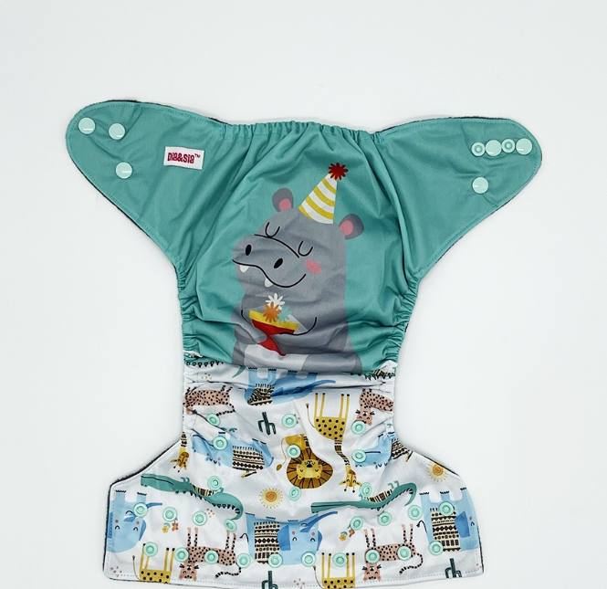 Bamboo Charcoal Cloth Diaper with Bamboo Charcoal Inserts and Double Leg Gusset D11